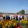 15.08.11 zg i4p_preview.jpg